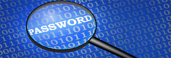 password wp landingpage header